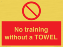 no-training-without-a-towel~